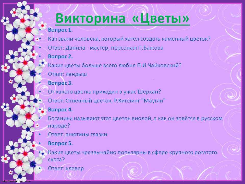 Дошкольные вопросы тест. Примеры викторин. Примеры викторины в презентации. Шуточные вопросы по физике.