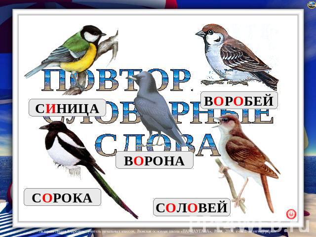 Картинка сорока словарное слово