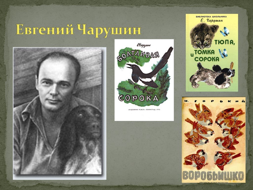 Произведения чарушина. Евгений Чарушин анималистический Жанр. Евгений Чарушин портрет и иллюстрации. Е Чарушин Бианки. Виталий Чарушин писатель.