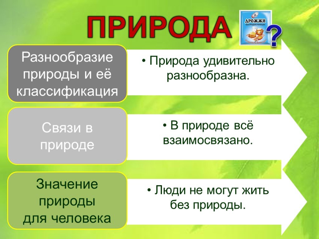 Проект по окружающему миру 3 класс природа. Разнообразие природы. Цель проекта разнообразие природы. Проект по окружающему миру разнообразие природы. Значение природы для человека.