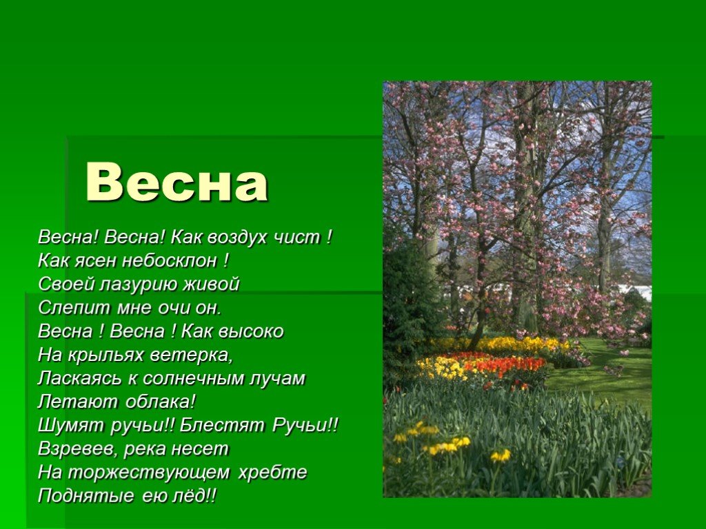 Проект времена года весна