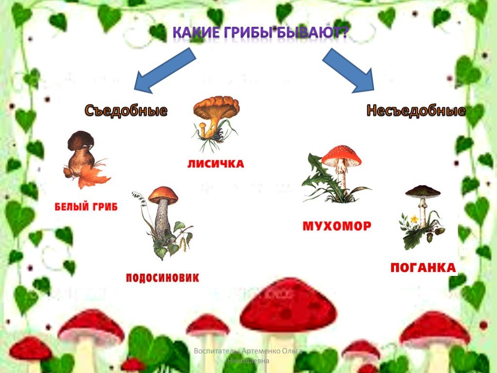 Презентация съедобные и несъедобные грибы 3 класс