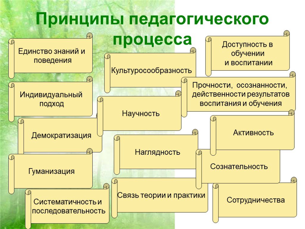 Принципы образования схема