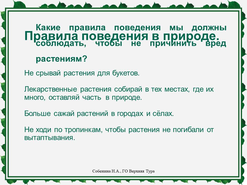 Какие правила необходимо. Какие правила поведения. Какие правила нужно соблюдать. Какие правила надо соблюдать в природе. Какие правила необходимо соблюдать для природы.