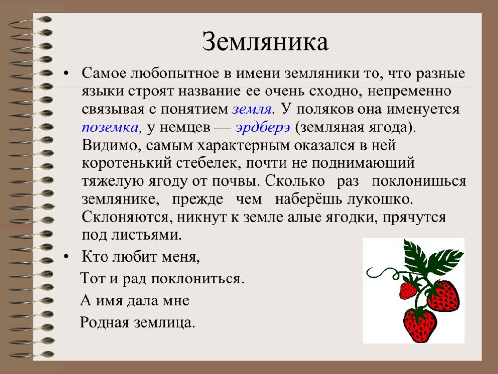 Значение слова назвали. Сообщение о клубнике. Происхождение слова земляника. Этимология слова земляника. Сообщение о землянике.