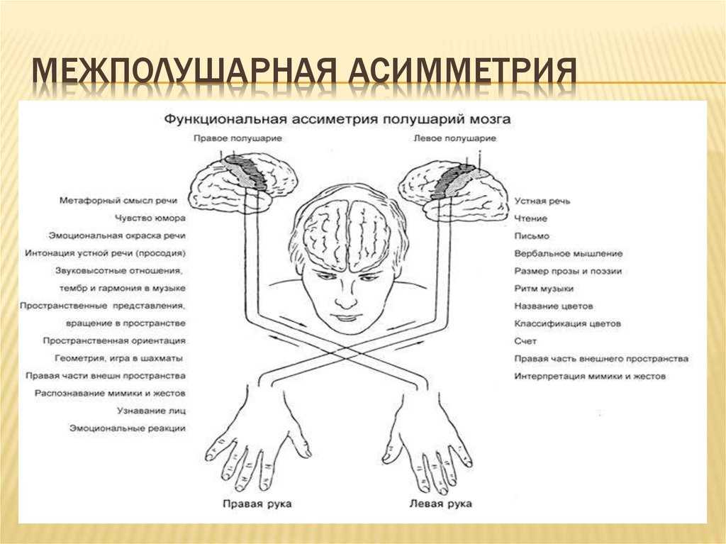 Картинки для развития полушарий мозга у детей