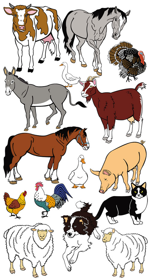 Лошади коровы и куры. Изображение домашних животных. Домашние животные рисунки. Домашние животные вектор. Домашние животные картинки для детей.