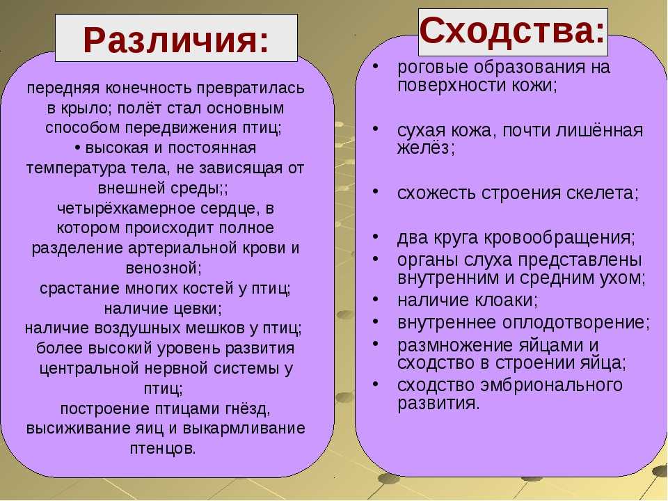 Найди сходство и отличие двух задач проиллюстрируй отличие с помощью схемы