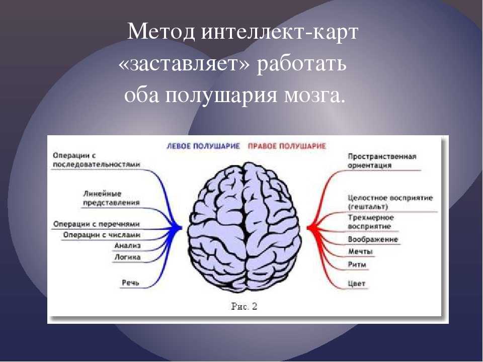 Как функционирует мозг. Полушария мозга. Два полушария мозга. Оба полушария мозга. Как задействовать оба полушария мозга.