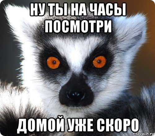 Я уже иду. Скоро домой. Скоро домой картинки прикольные. Иди домой уже. Скоро домой с работы прикольные картинки.