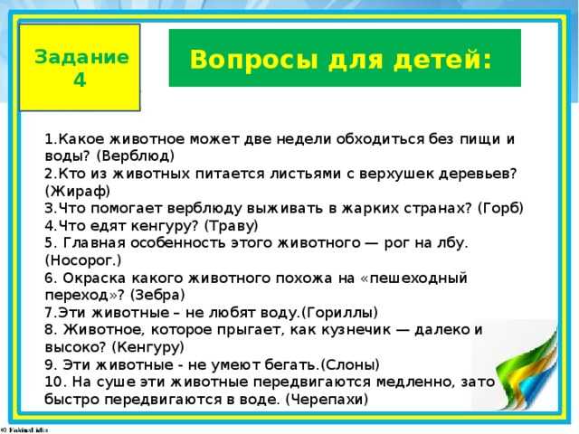 Карта мир на вопрос да или нет