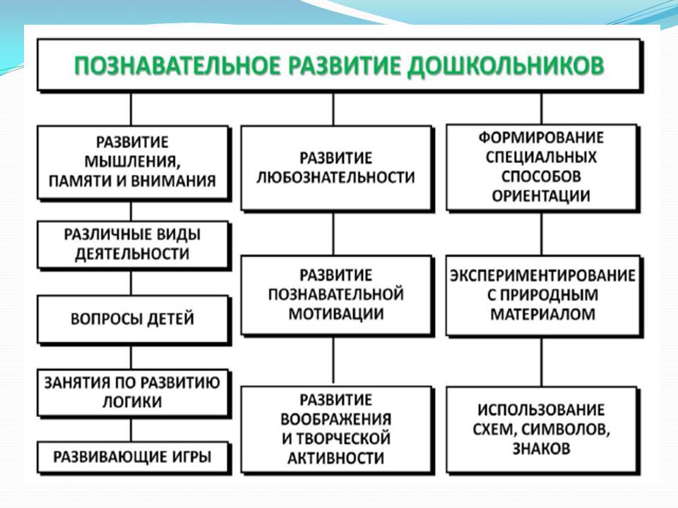 Разновидности развития. Познавательное развитие виды. Виды познавательной деятельности дошкольников. Формы познавательной активности дошкольников. Виды развития детей.