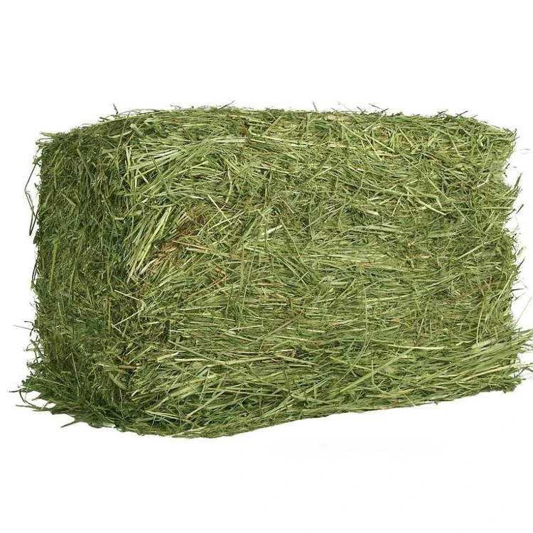 Сено александров. Солома пшеничная тюк (20 кг). Луговое сено в тюках. Сено (Клевер+люцерна) 1 тюк. Сено пучок.