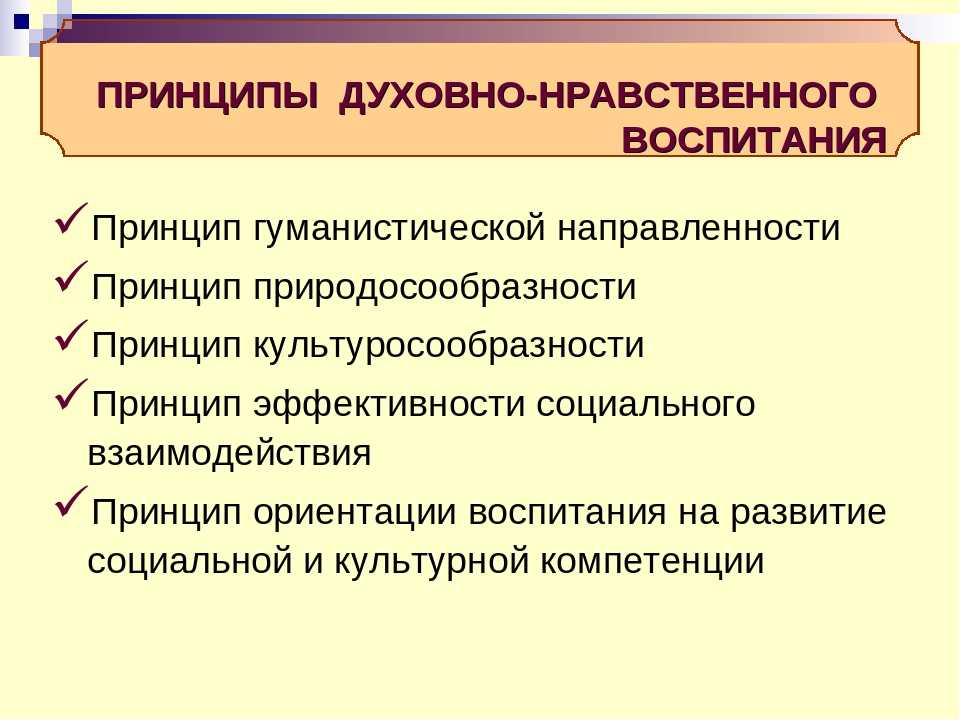 Отражение духовно нравственного самосознания. Принципы духовно-нравственного воспитания младших школьников. Принципы нравственного воспитания младших школьников. Принципы духовно-нравственного воспитания воспитания школьников. Духовно нравственные принципы.