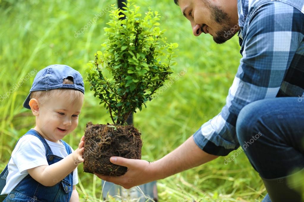 Когда можно садить мальчика. Родители и дети сажают деревья. Отец и сын сажают дерево. Мальчик посадил дерево. Мальчик сажает на дерево птенца.
