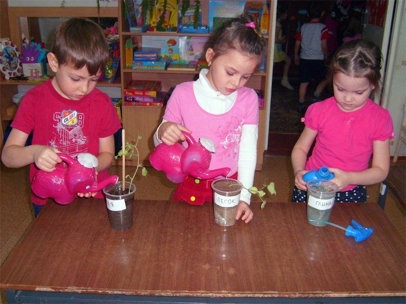 Эксперименты с детьми в детском саду