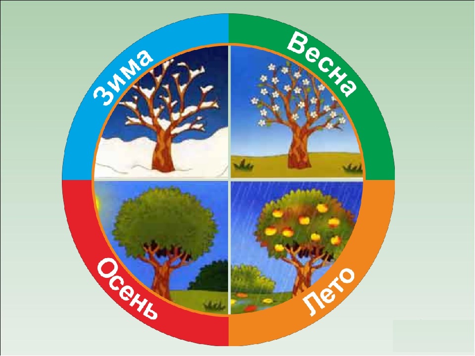 Времена года картинки для детей дошкольного возраста распечатать