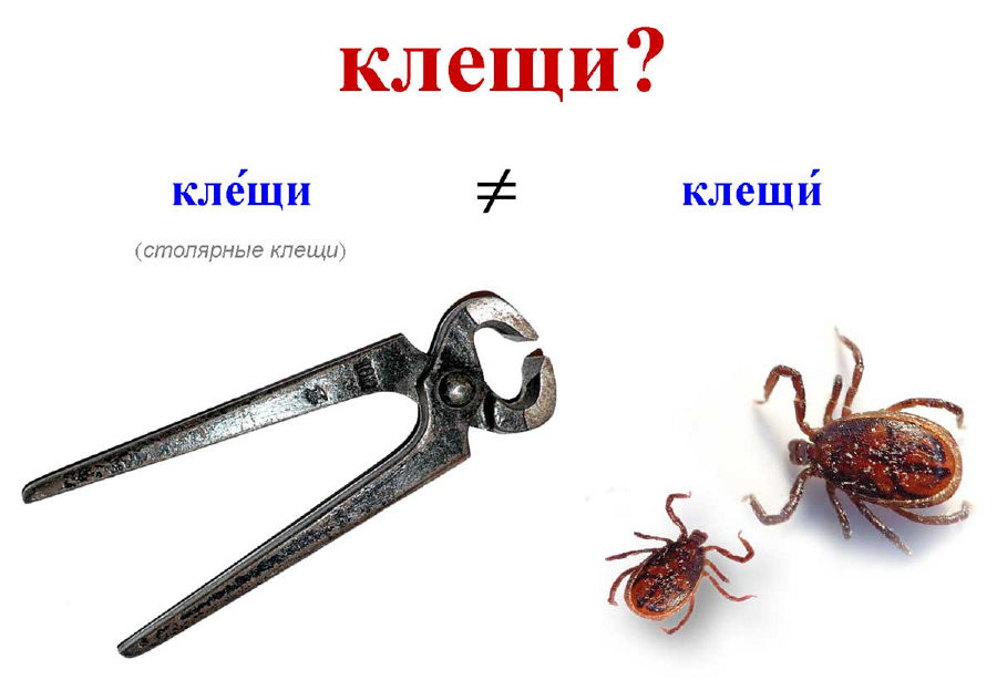 Клещи рисунок инструмент