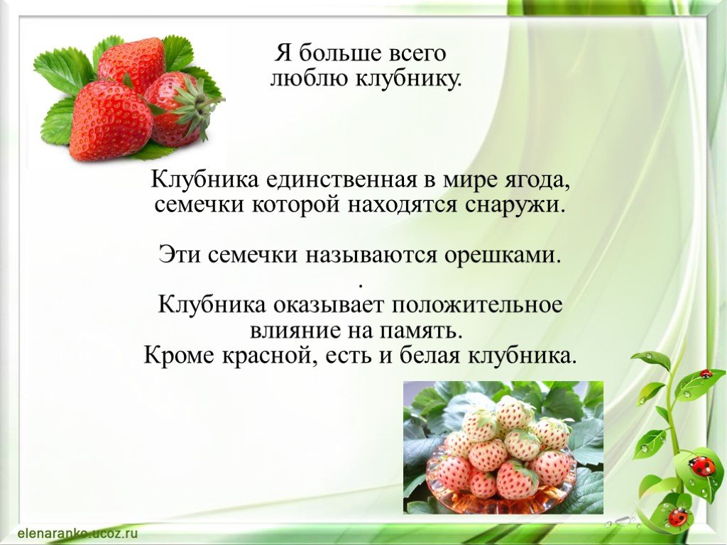 Как узнать клубнику для 3 класса. Рассказ о клубнике. Сообщение о клубнике. Рассказ про землянику. Загадка про землянику.