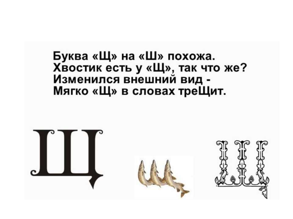 5 букв 3 буква щ. Стих про букву щ. Стих про букву щ для дошкольников. Стих загадка про букву щ. Буква щ на ш похожа.