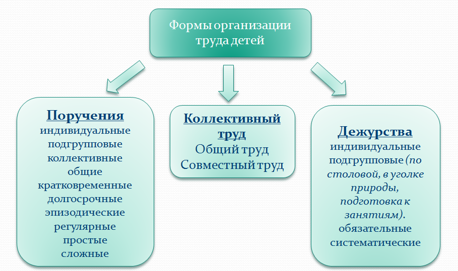 Вид и форма организации трудовой деятельности