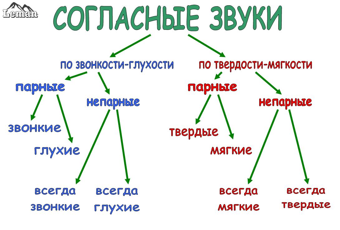 Парные согласные звуки схема