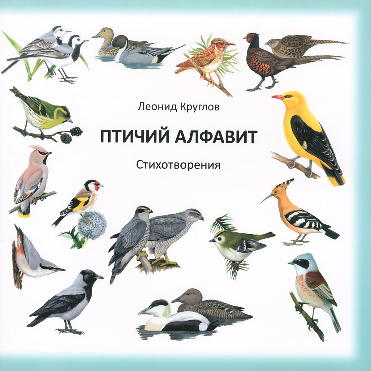 5 названий птиц. Азбука птиц. Алфавит птиц. Птицы на букву а. Название птиц по алфавиту.