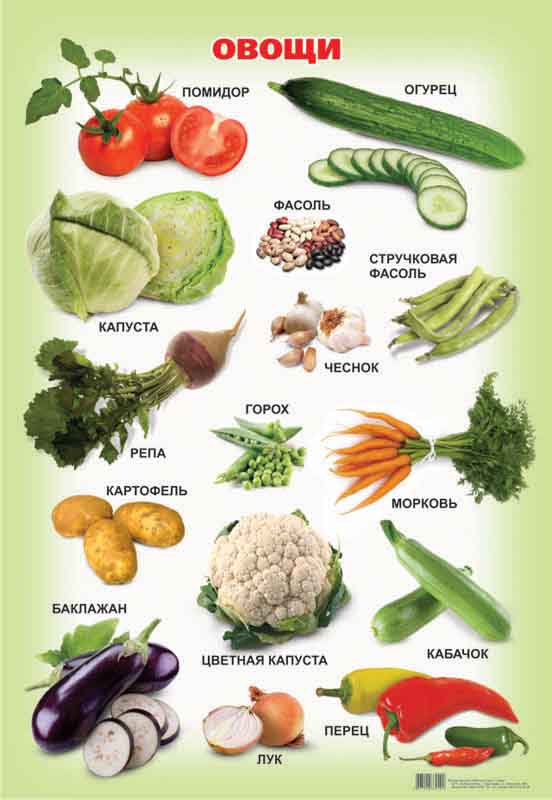 Что называют овощами. Овощи названия. Название всех овощей. Овощи. Плакат. Сложные названия овощей.