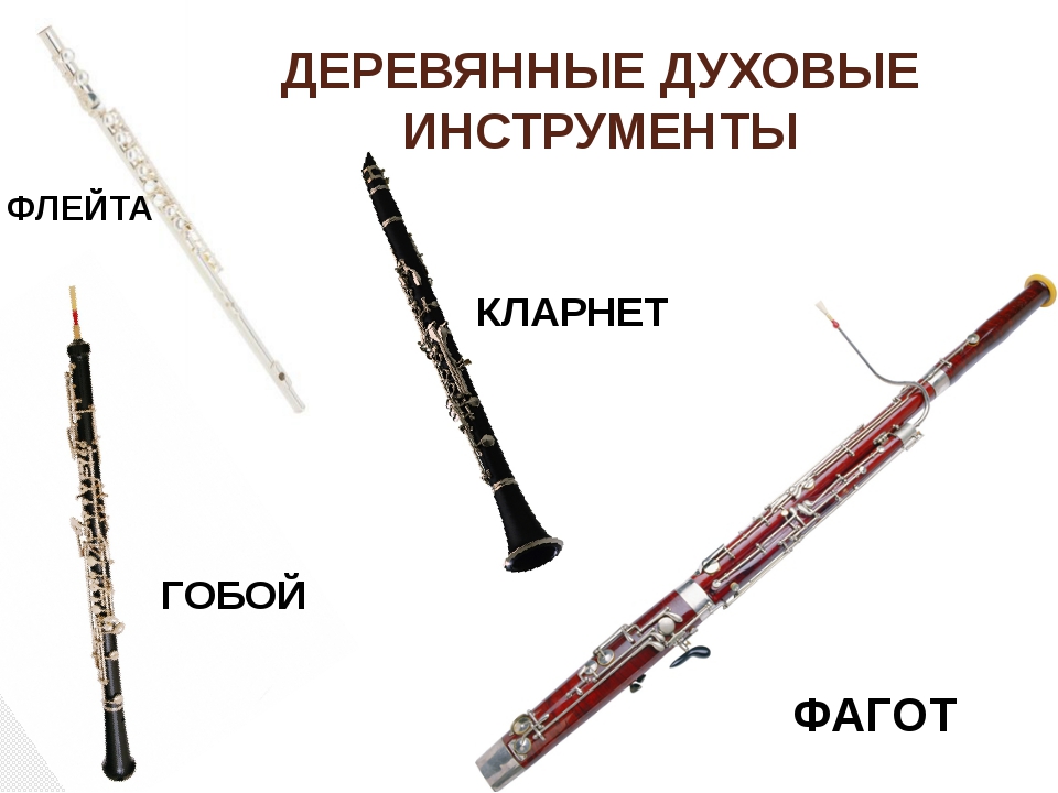 Симфонические инструменты флейта