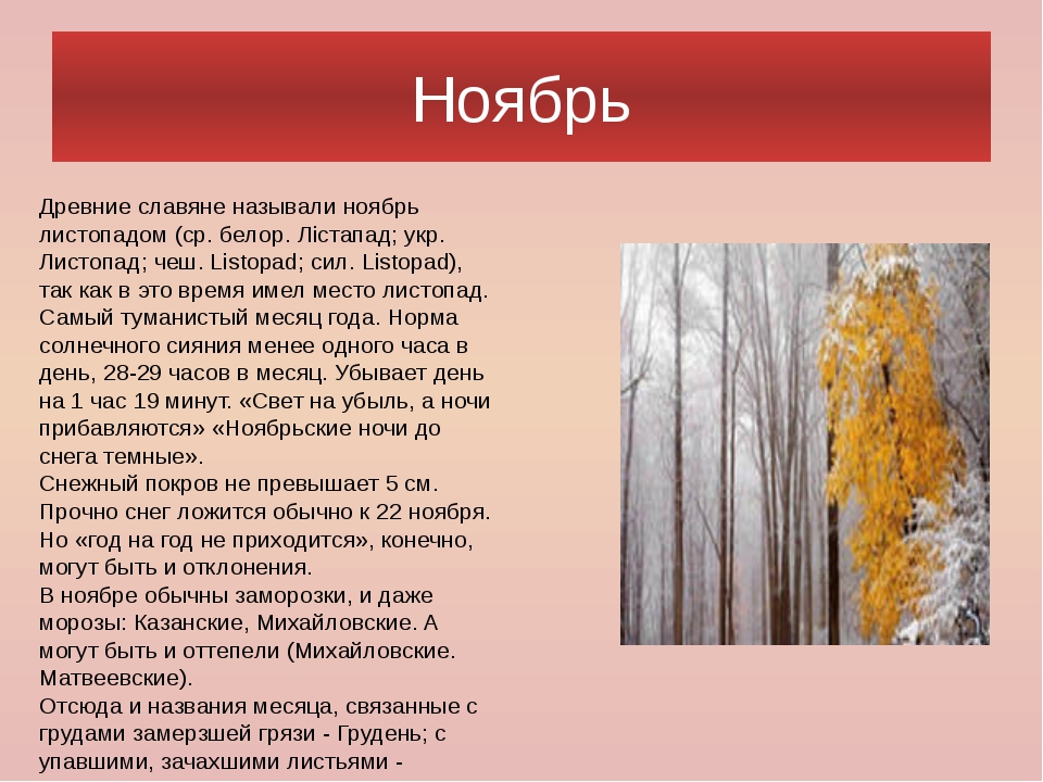 Какого октября ноября. Стихи про ноябрь. Рассказ про ноябрь. Ноябрь описание месяца. Стихотворение на тему ноябрь.