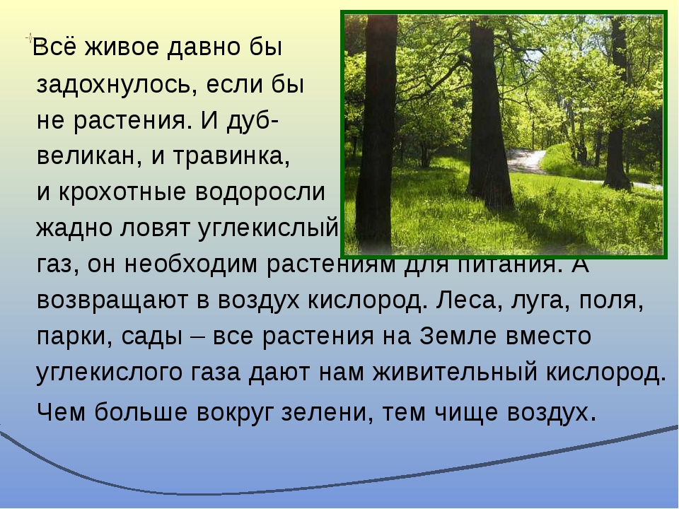 Про воздух плешаков 2 класс. Сочинение про воздух. Доклад про воздух 3 класс окружающий мир. Доклад про воздух 3 класс. Охрана воздуха окружающий мир.