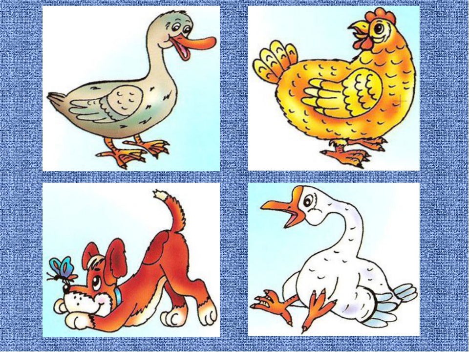 Картинки найди лишнюю для детей 5 лет. Четвертый лишний домашние птицы. Кто лишний игра дошкольнику. Карточки 4 лишний. Карточки 4 лишний для детей 6-7 лет.