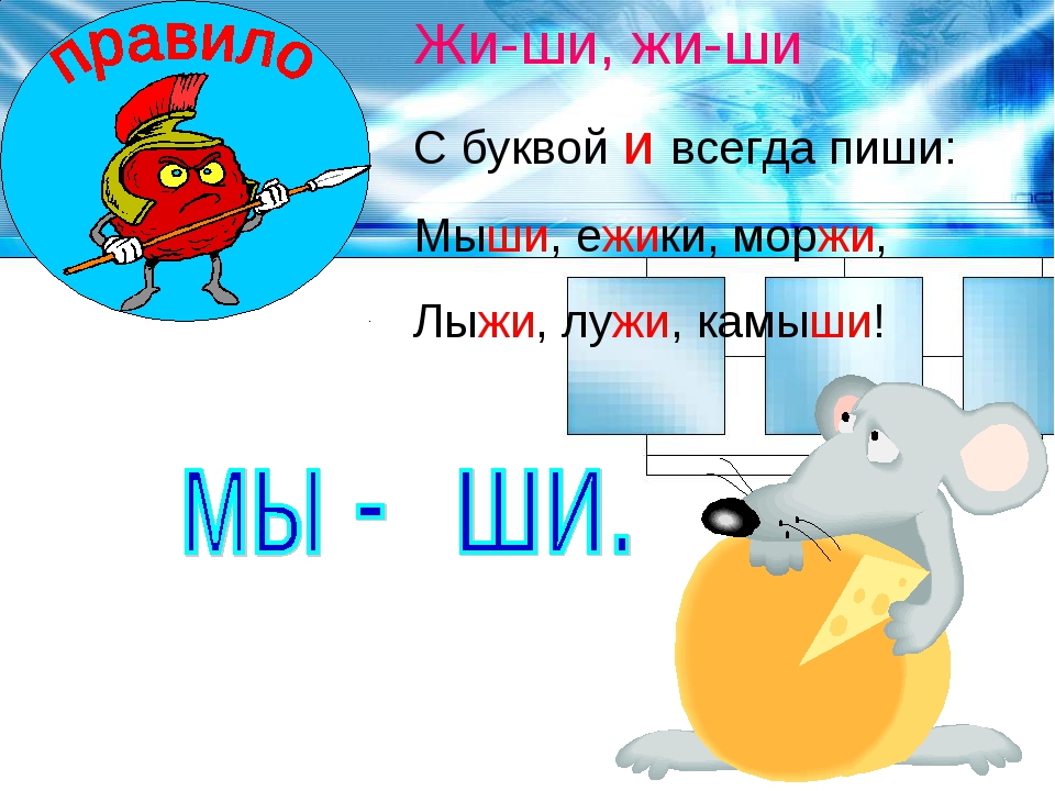 Щу звуковая схема