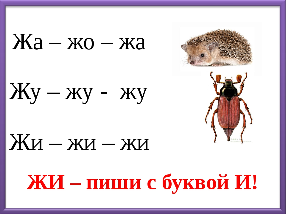 Слова на букву ж. Чтение слогов с буквой ж. Звук ж буква ж. Слоги со звуком ж. Слоги и слова с буквой ж.