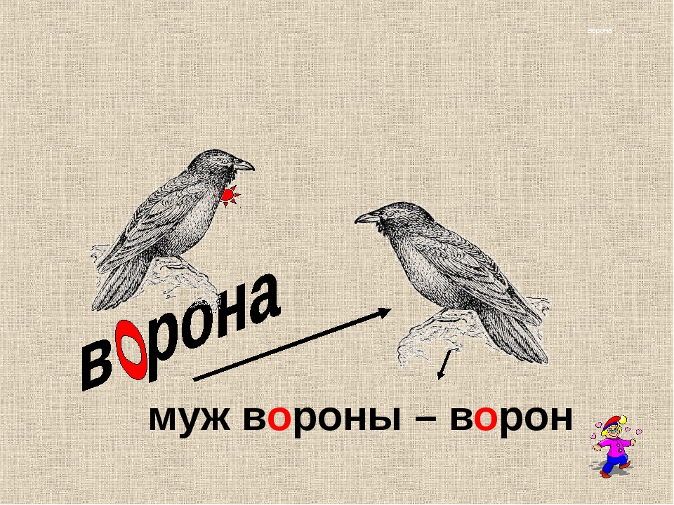 Воробей словарное слово. Словарное слово ворона в картинках. Ворон словарное слово. Словарная работа ворона.