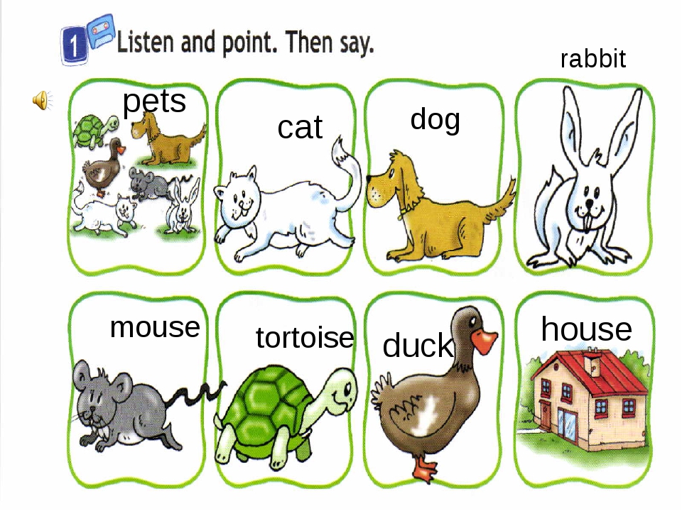 Слова dog cat. Животные по английскому для детей. Животные на англ для детей. Домашние животные на английском для детей. Карточки животные на английском.