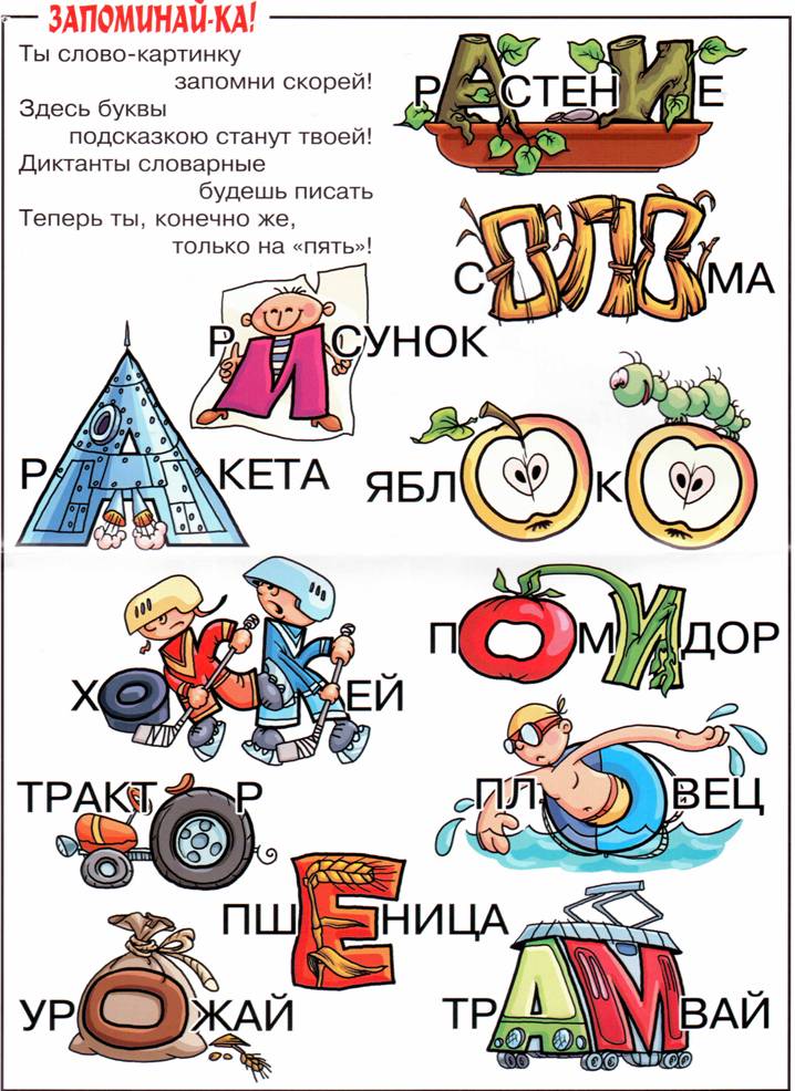 Запоминай 1. Словарные слова. Словарные Сова в картинках. Словарныесловп в картинках. Словарн слова.