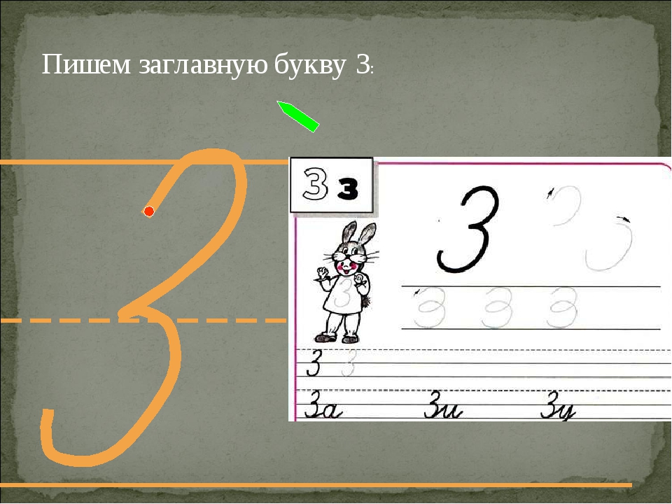 Письмо строчных и заглавных букв презентация. Написание заглавной буквы з. Как писать заглавную букву з. Строчная письменная буква з. Написание строчной буквы з.