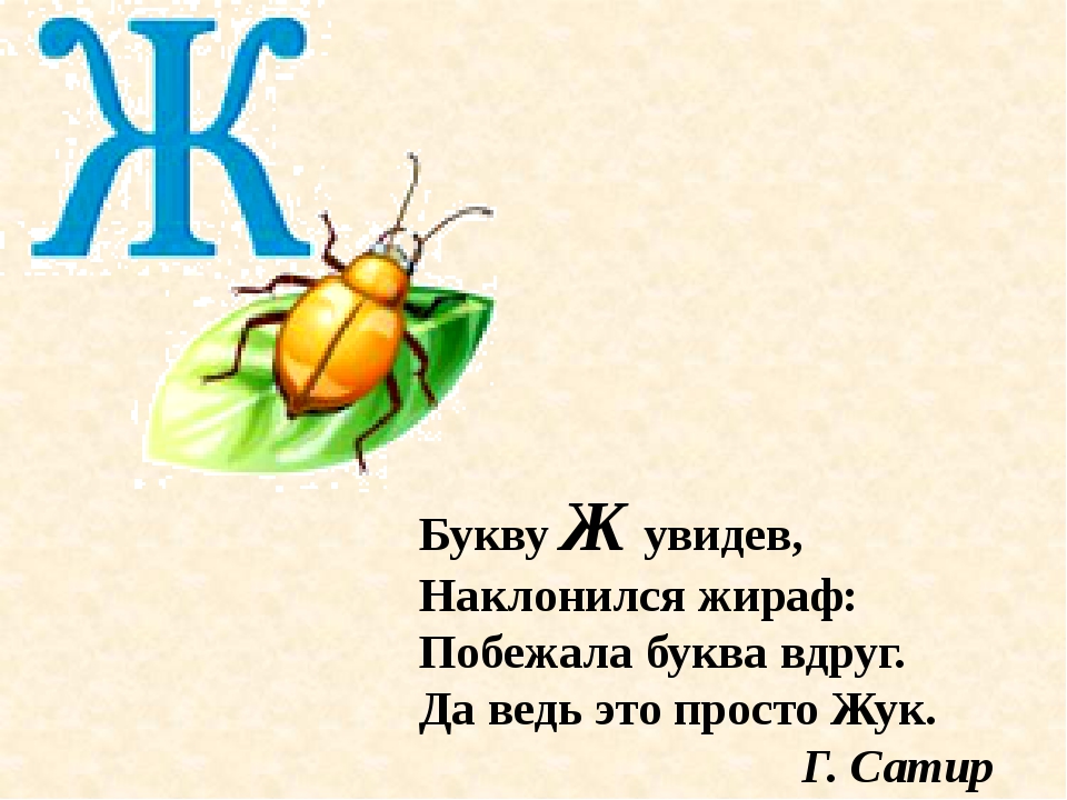 Есть города на букву ж. Стихотворение про букву ж. Буква ж похожа на жука. Стихи на букву ж для детей. Проект буква ж.