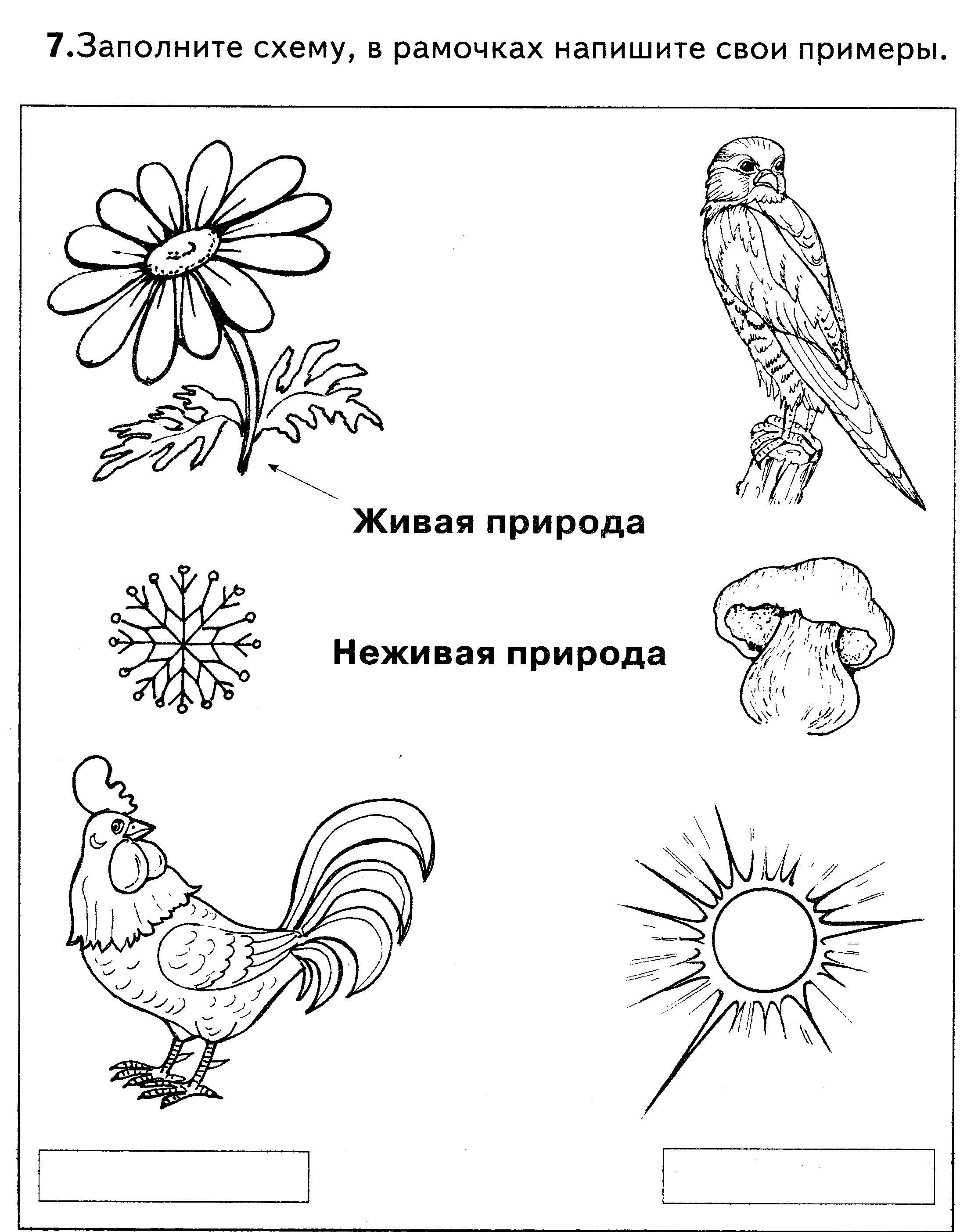 Окружающий мир 1 класс задания в картинках