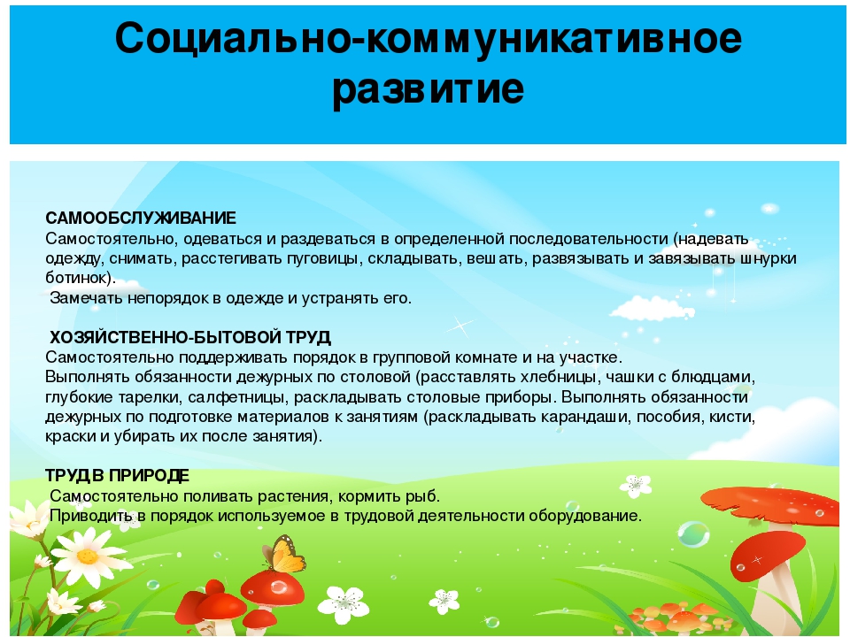 Задачи годового плана по социально коммуникативному развитию