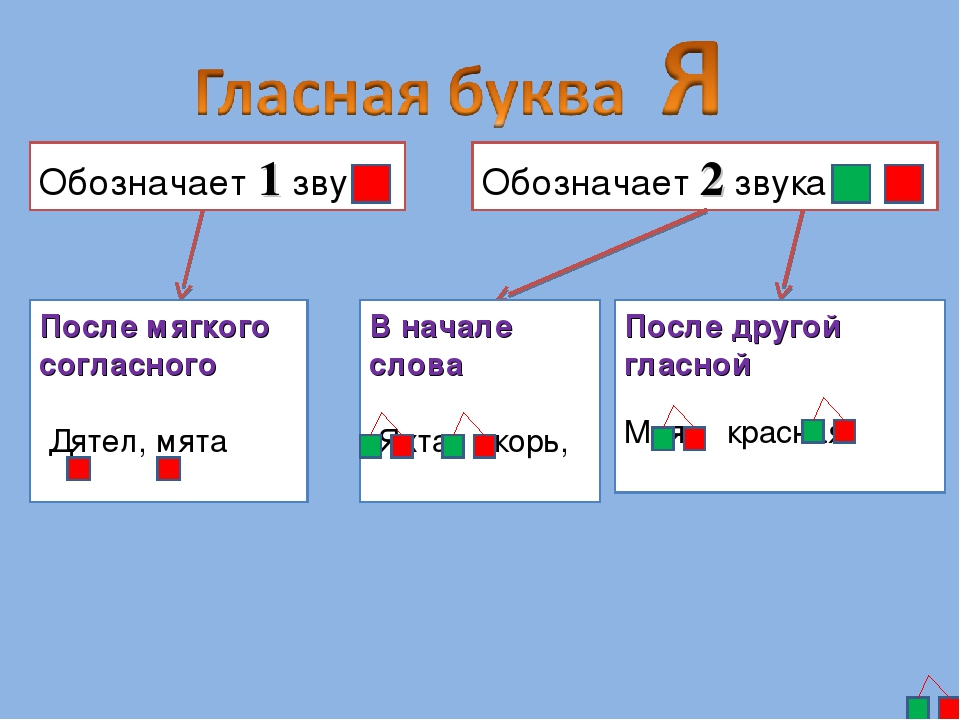 После гласного звука слова. Буква я обозначает. Звук и буква я. Буква я обозначает один звук. Буква я обозначает два звука правило.