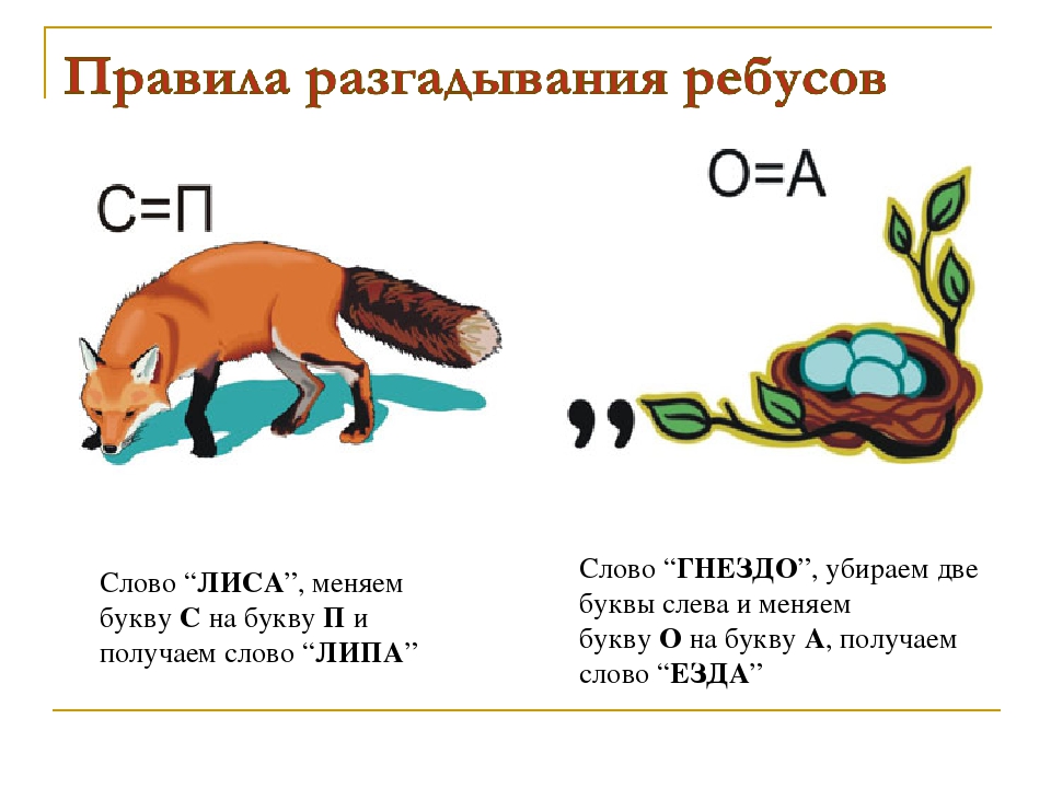 Какие слова на букву п. Ребусы на букву п. Ребус лиса. Ребус лисица. Ребус про лису.