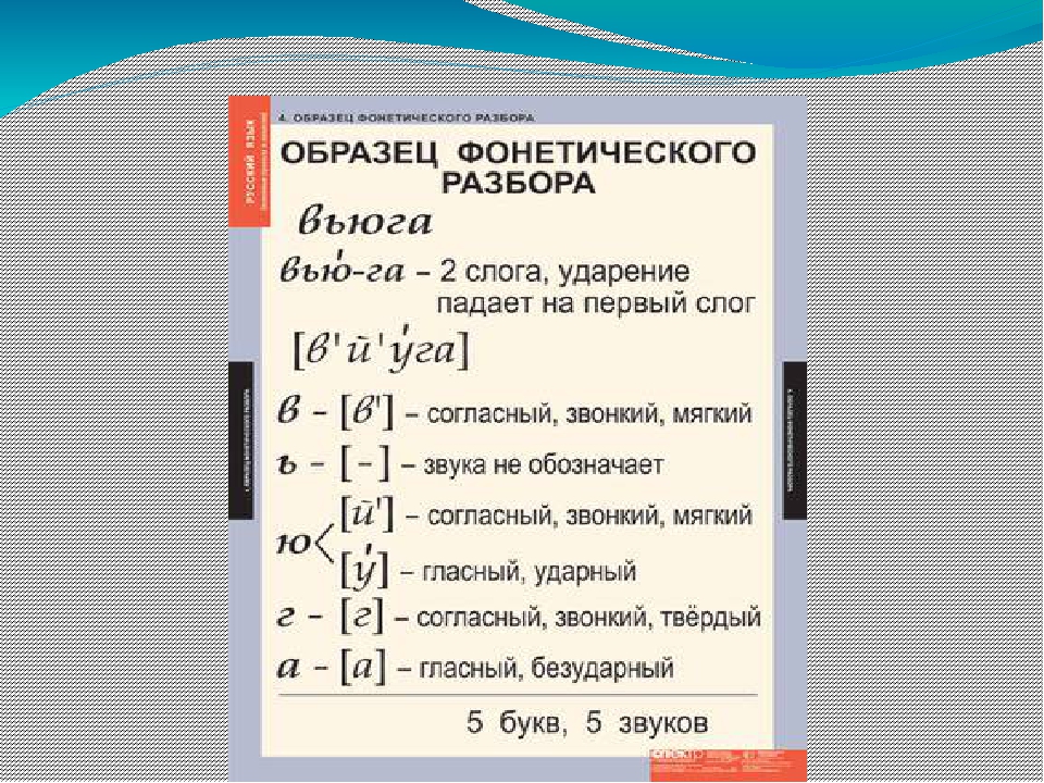 Транскрипция слова образец