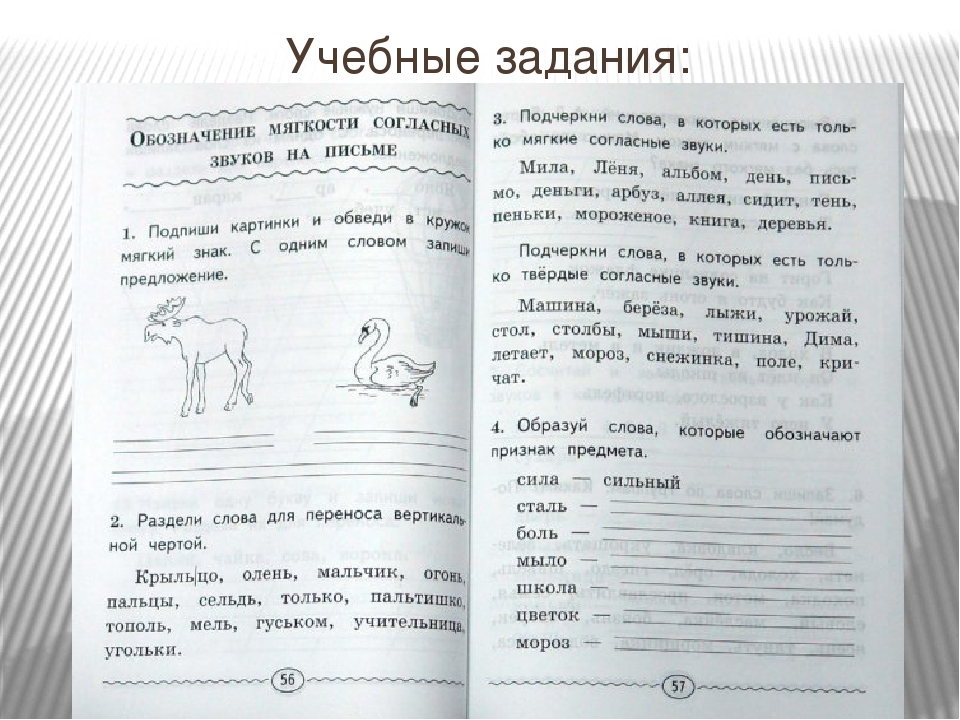 Задание по русскому языку страница. Домашние задания по русскому языку. Домашние задания по русскому языку 2 класс. Занятия по русскому языку второй класс. Работа с текстом 1 класс задания.