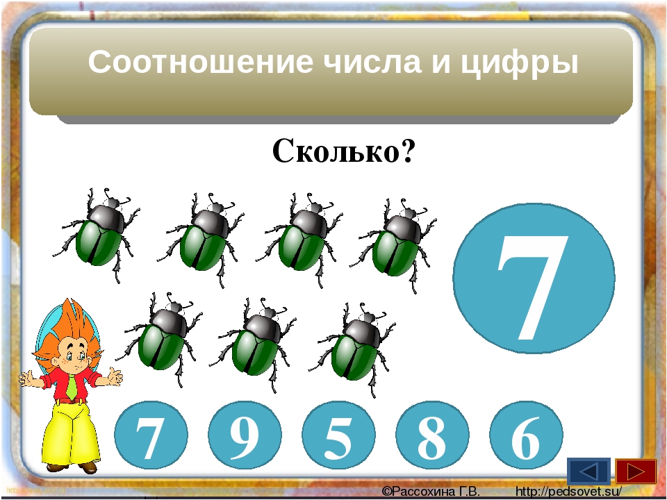 Количество и счет в средней группе презентация