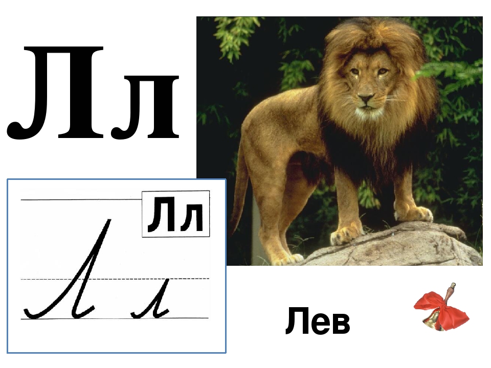 Левый л. Буква л - Лев. Буква л в виде Льва. Лев письменными буквами. Животное на букву л Лев.