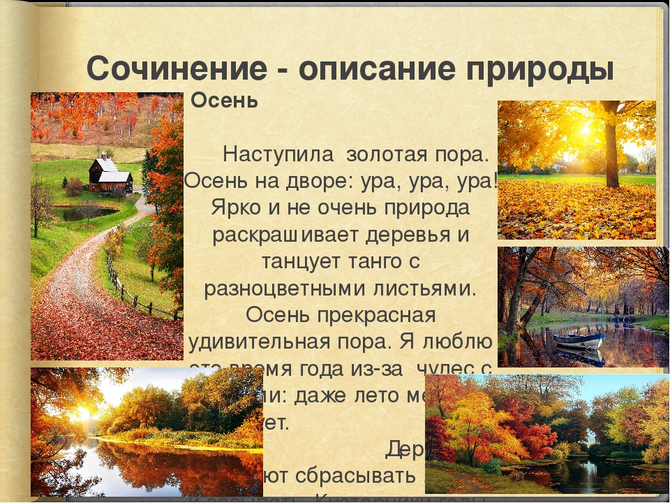 Осень картинки и описание