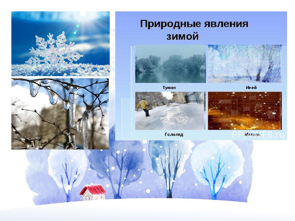 Изменения природы в декабре. Явления природы зимой. Сезонные явления в природе зимой. Зимние явления в природе в детском саду. Зимние явления природы для детей.