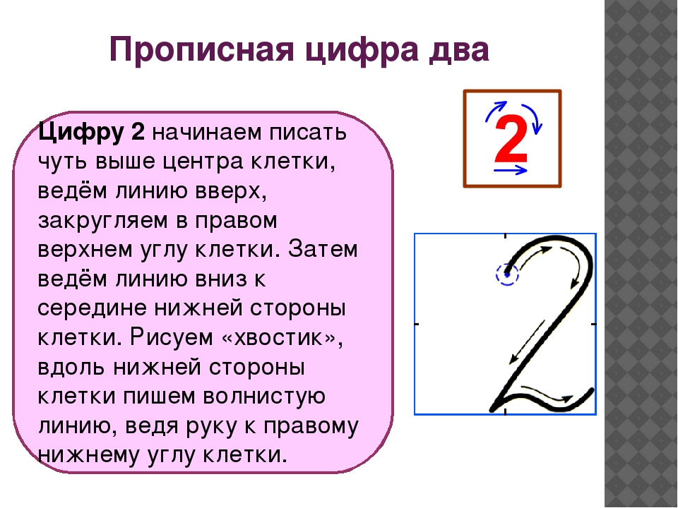Цифра 2 в русском языке 5 класс. Правильное написание цифры 2. Алгоритм написания цифры 2. Цифра два письмо. Написание цифры 1 и 2.